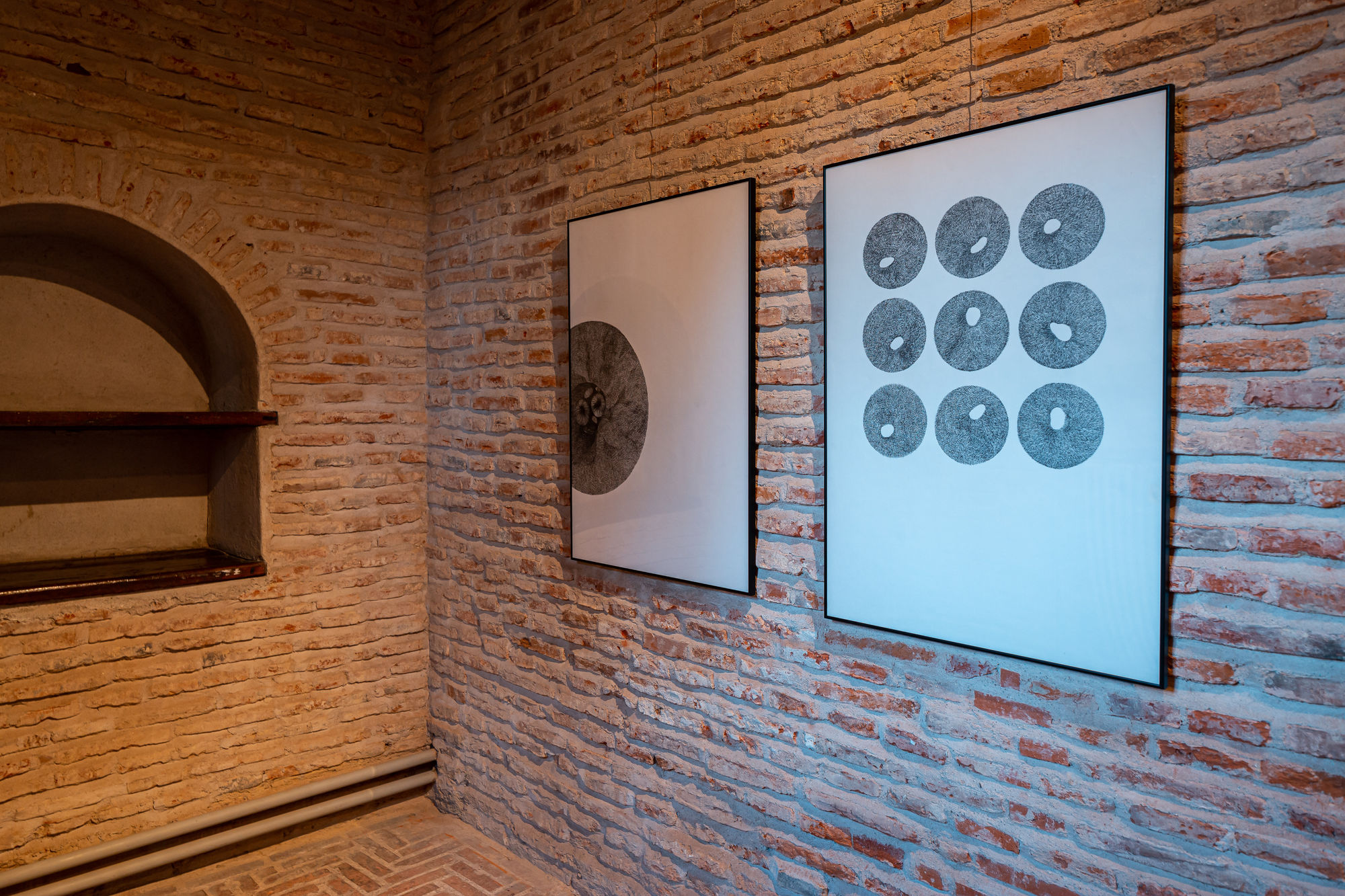 ALINA ALDEA: SECRET GARDEN