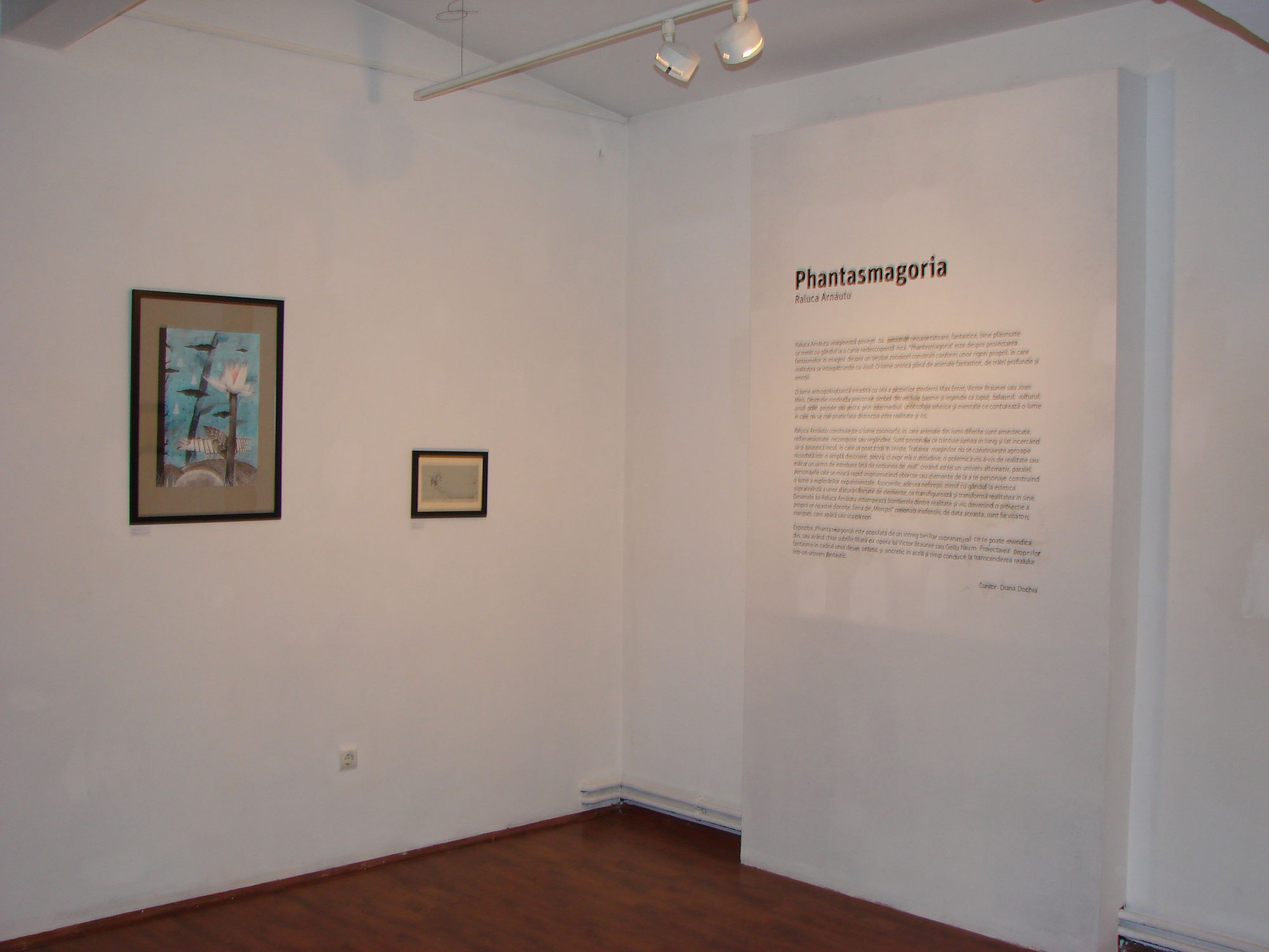 RALUCA ARNĂUTU: PHANTASMAGORIA