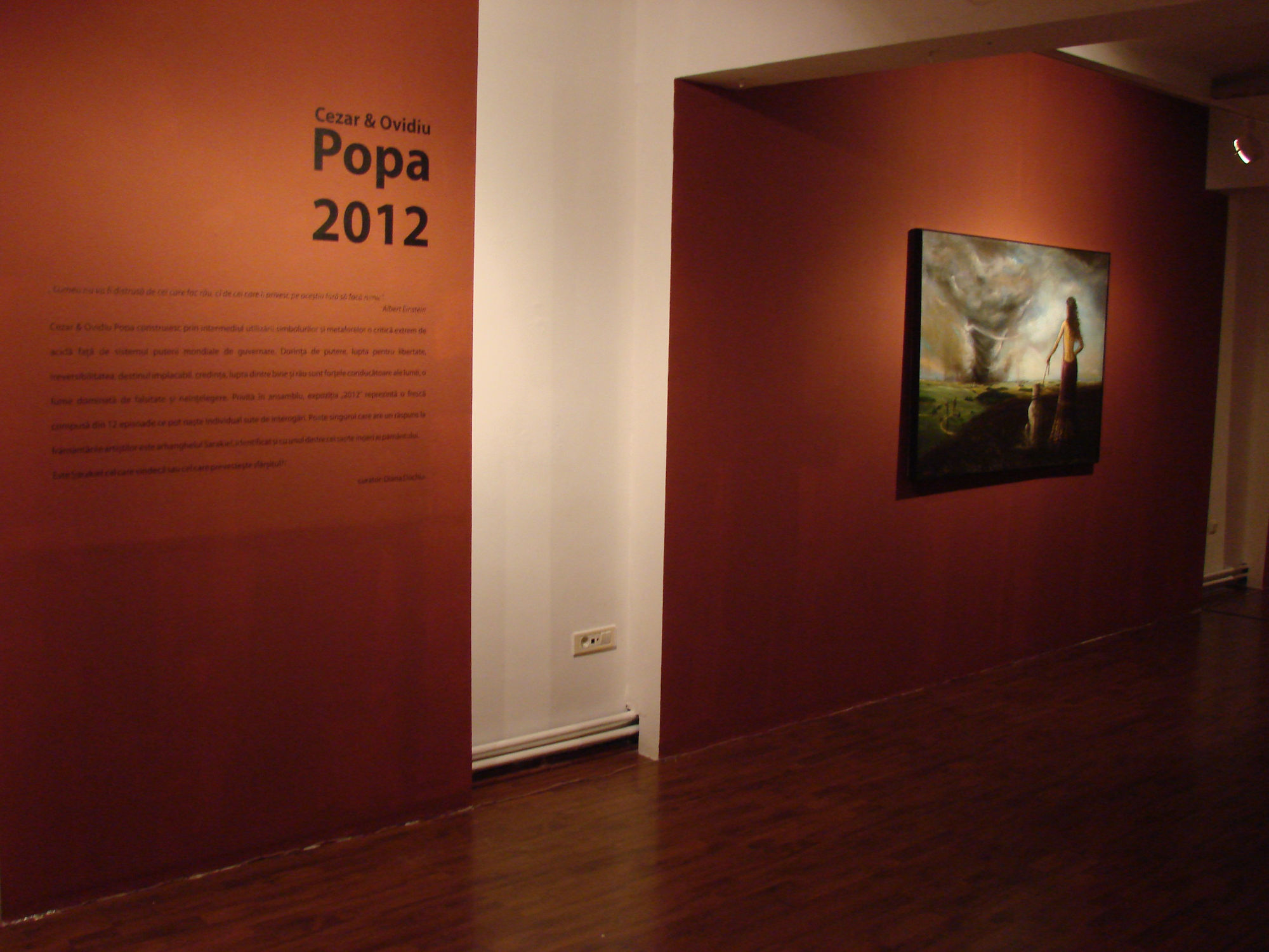 CEZAR & OVIDIU POPA: 2012