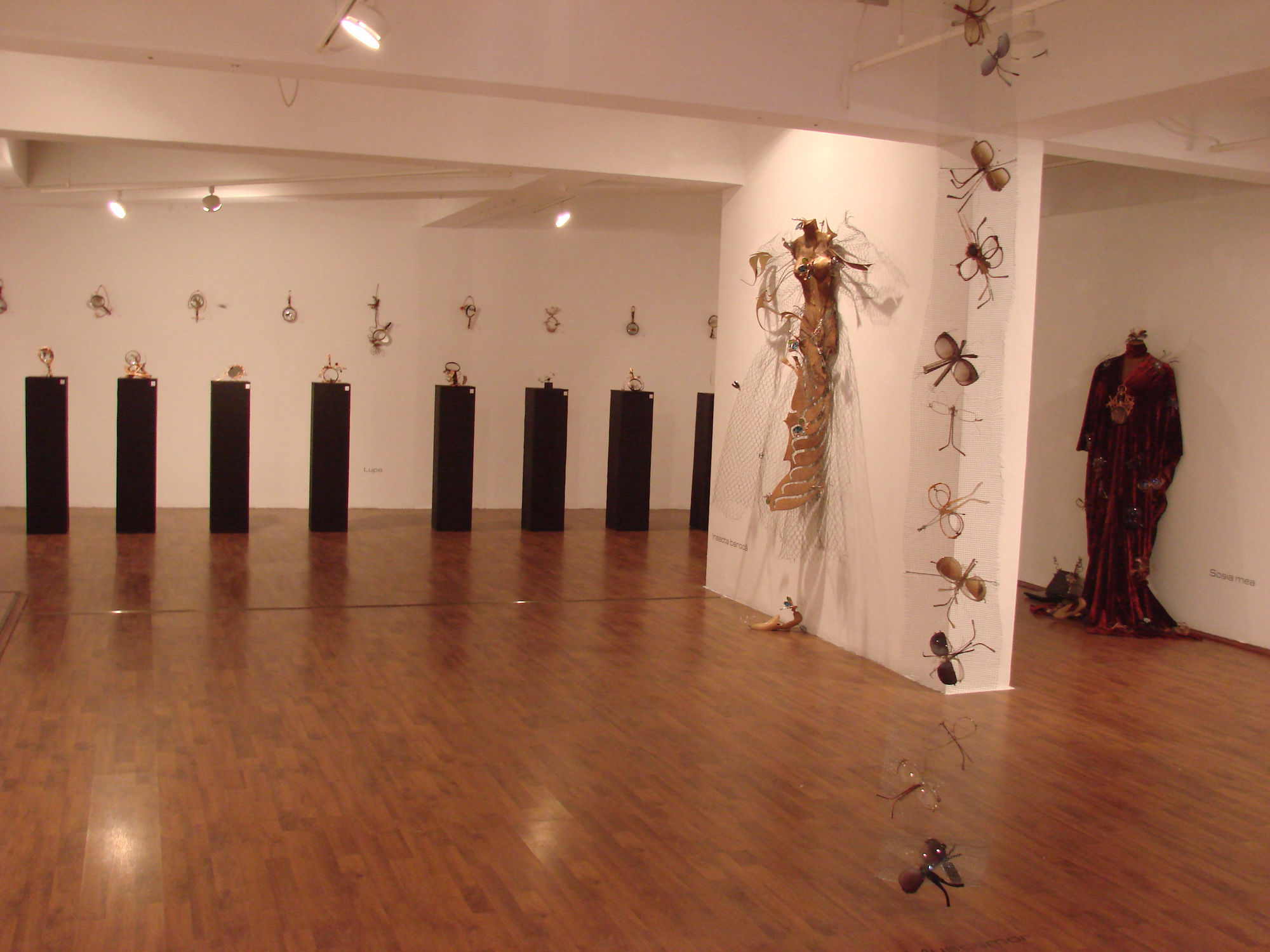 ILEANA DANA MARINESCU: MICRO/MACRO