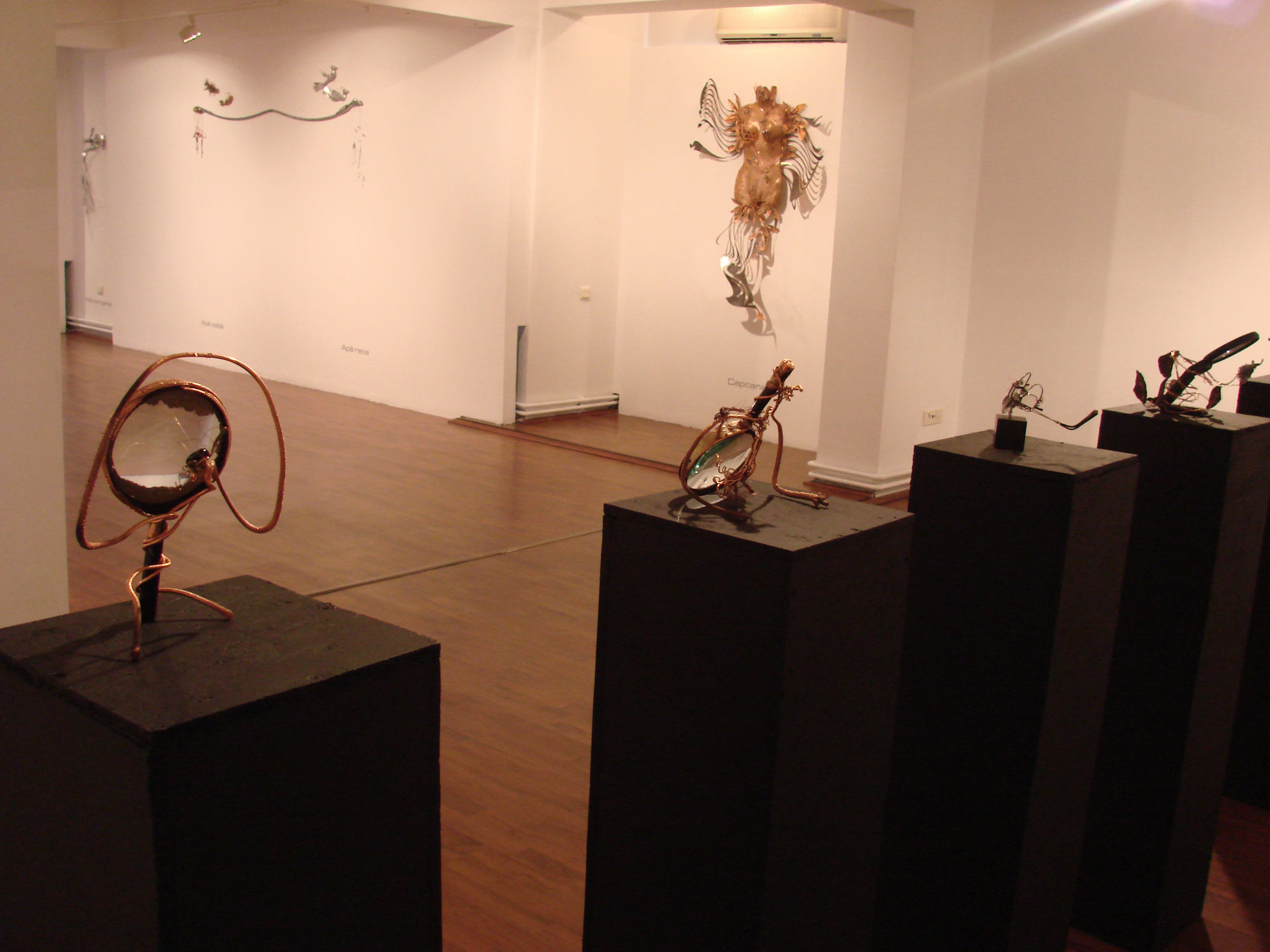 ILEANA DANA MARINESCU: MICRO/MACRO