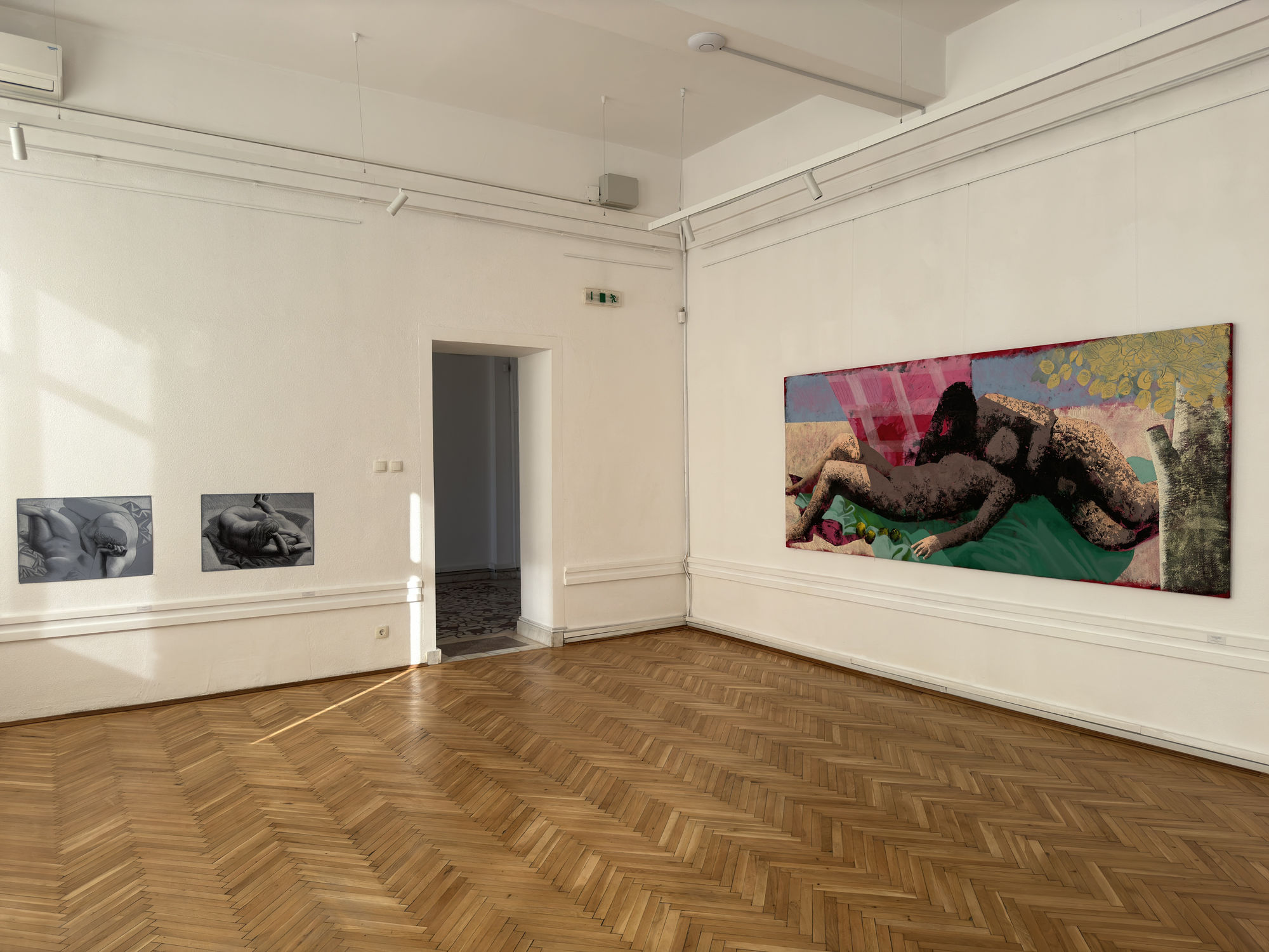 ALEXANDRU RĂDVAN: Skin to Skin