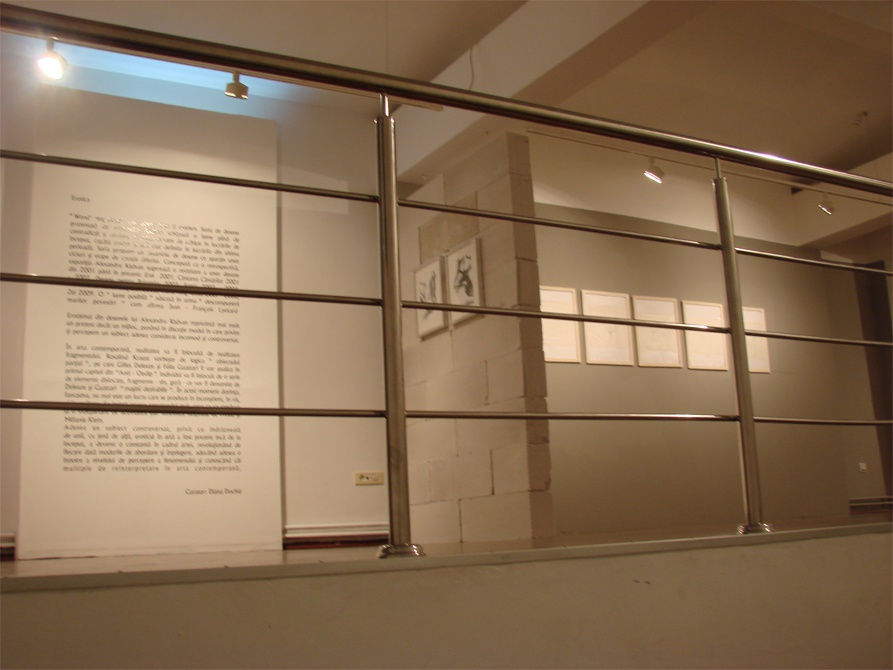 ALEXANDRU RĂDVAN: WOND’RING ALOUD