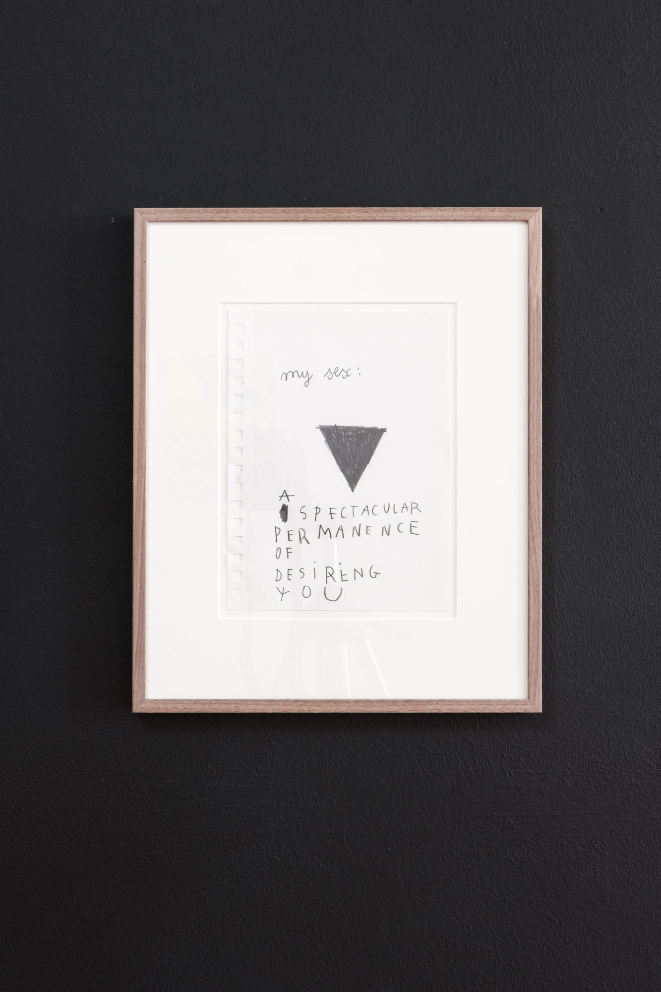 Anne-Lise Coste, My Sex, 2013, 25.5 x 21 cm, pencil (8B) on paper.