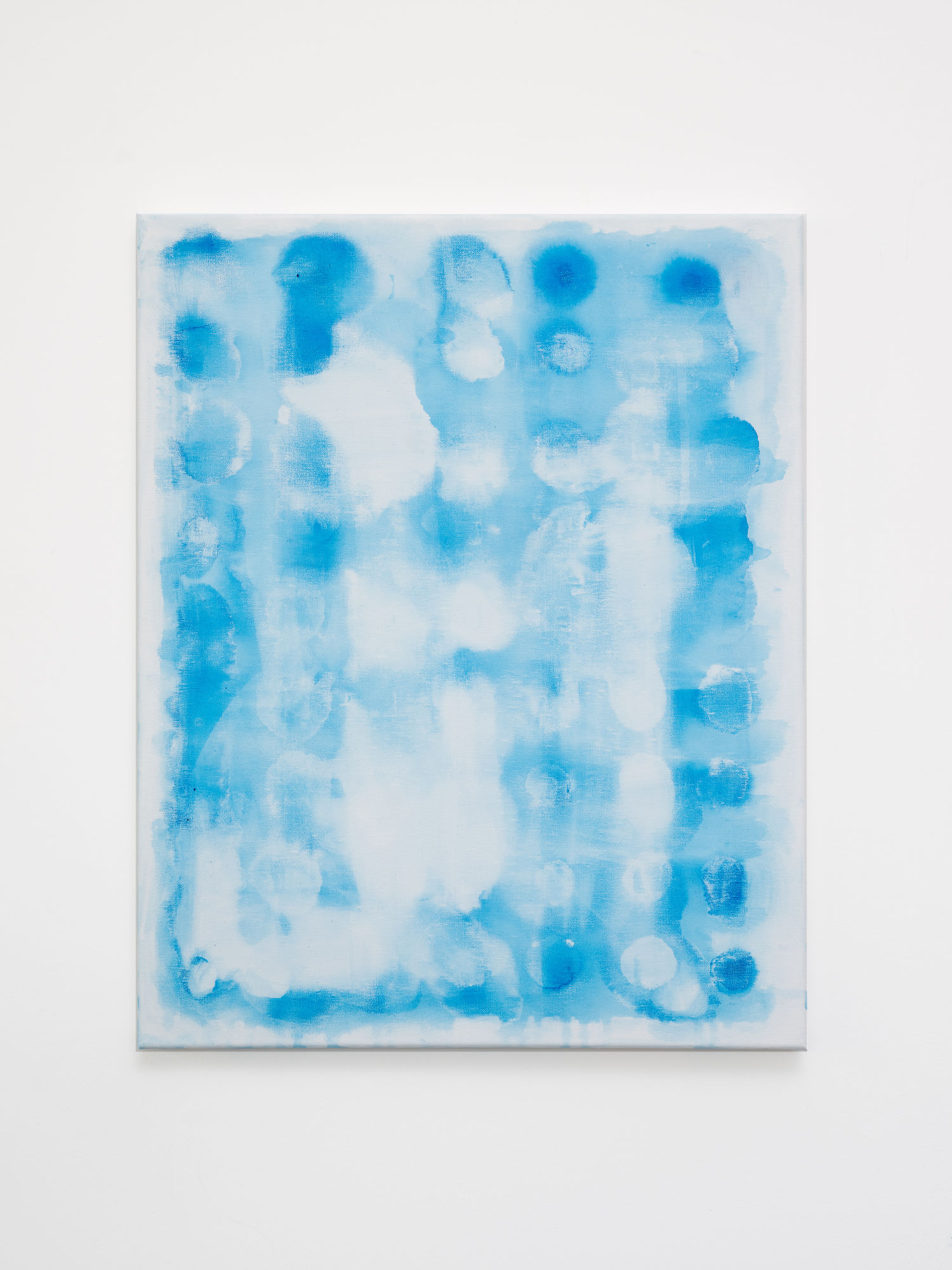 Jannie Regnerus, Untitled, 2024, acrylics on linen, 50 x 40 cm.