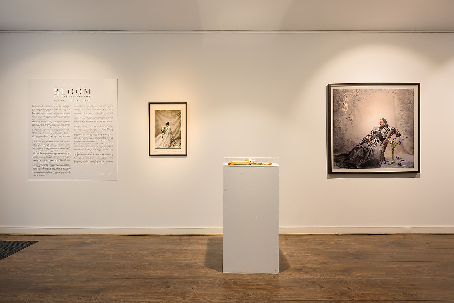 BLOOM: The Act of Remembrance