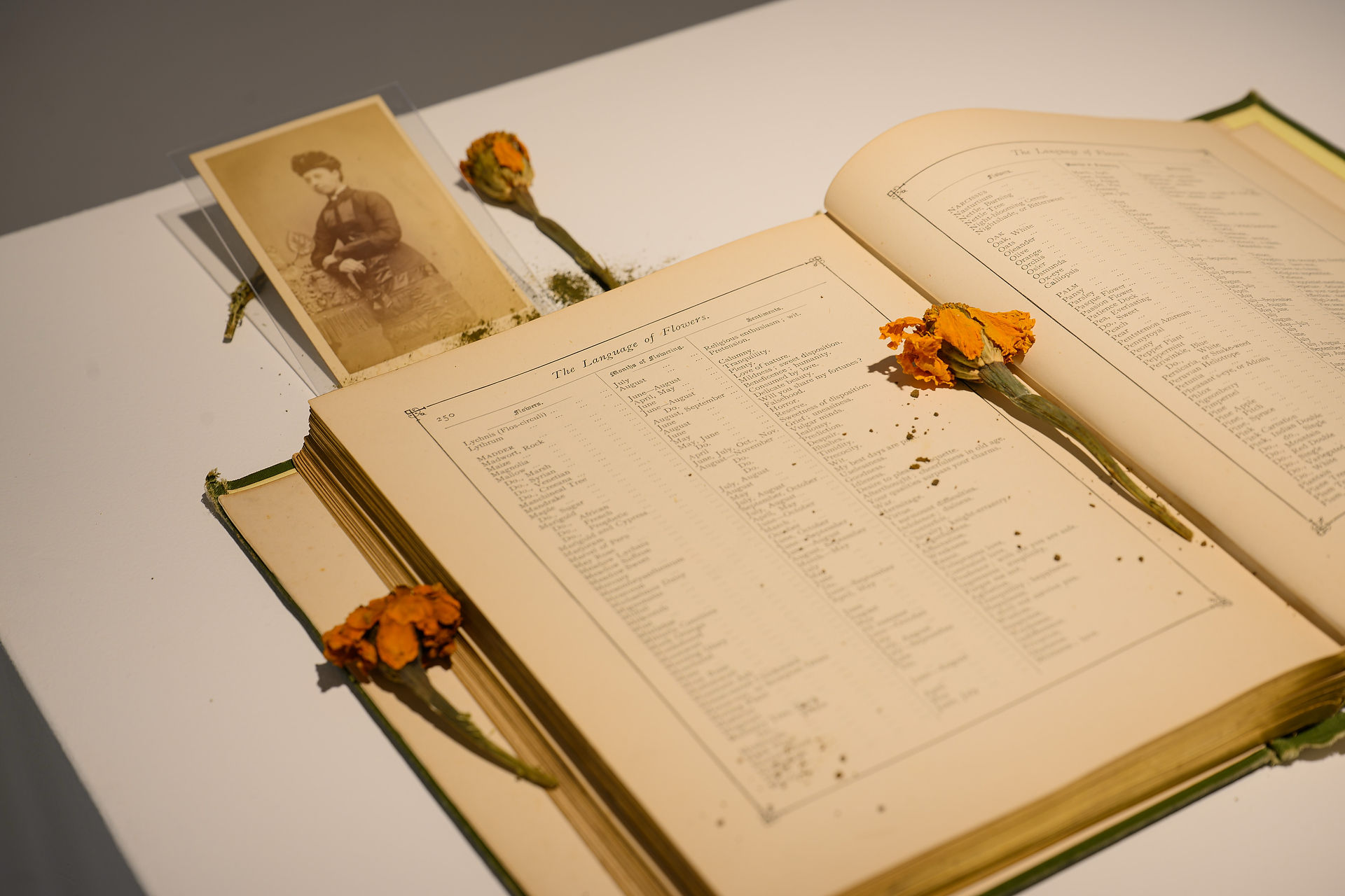 BLOOM: The Act of Remembrance