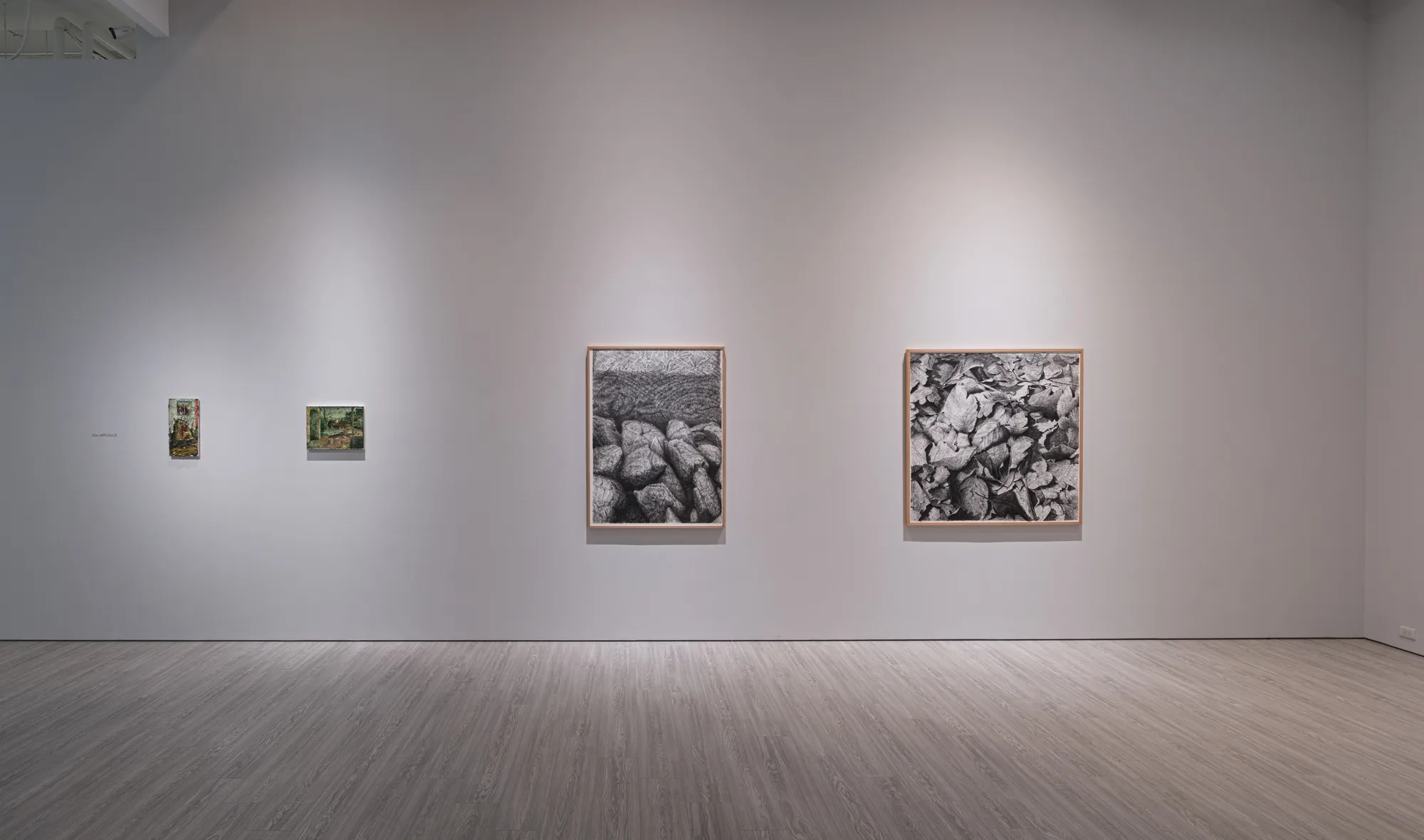 「藏匿在灰鏡下的真實斑點」丹．馬諸卡