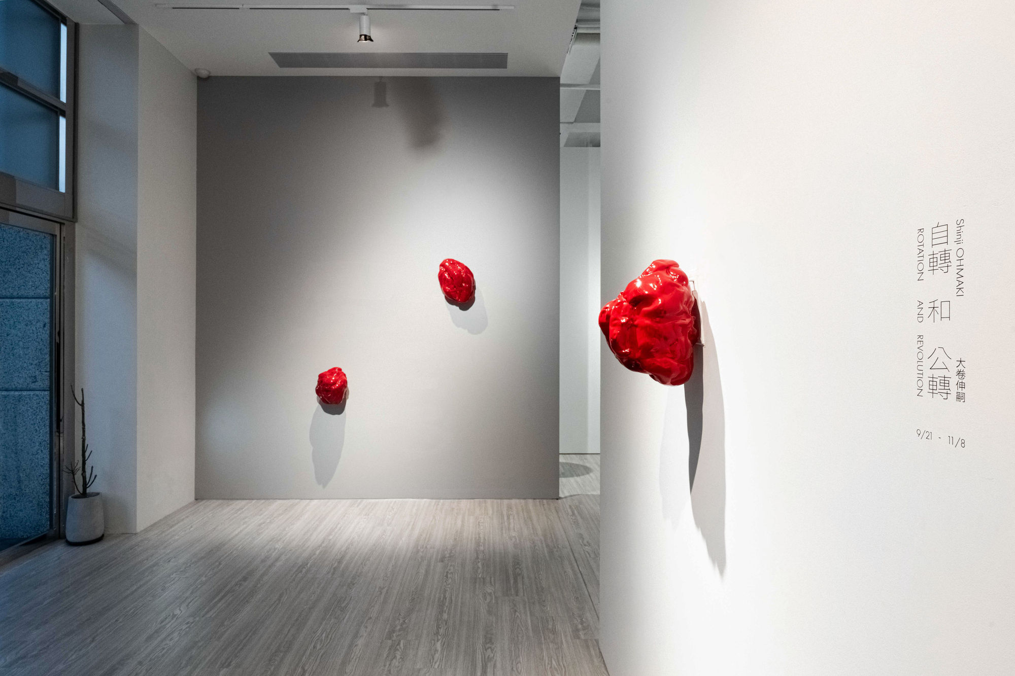 「自轉和公轉」大卷伸嗣