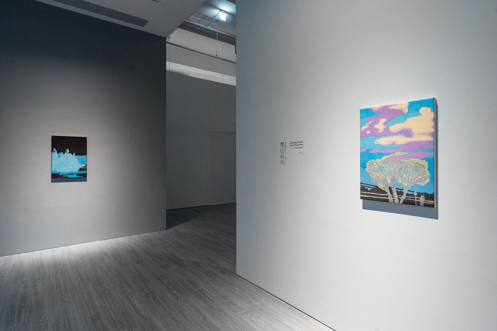 ｢霓虹森林：轉瞬即逝的歲月拓片｣馬堤耶·馬哈切克