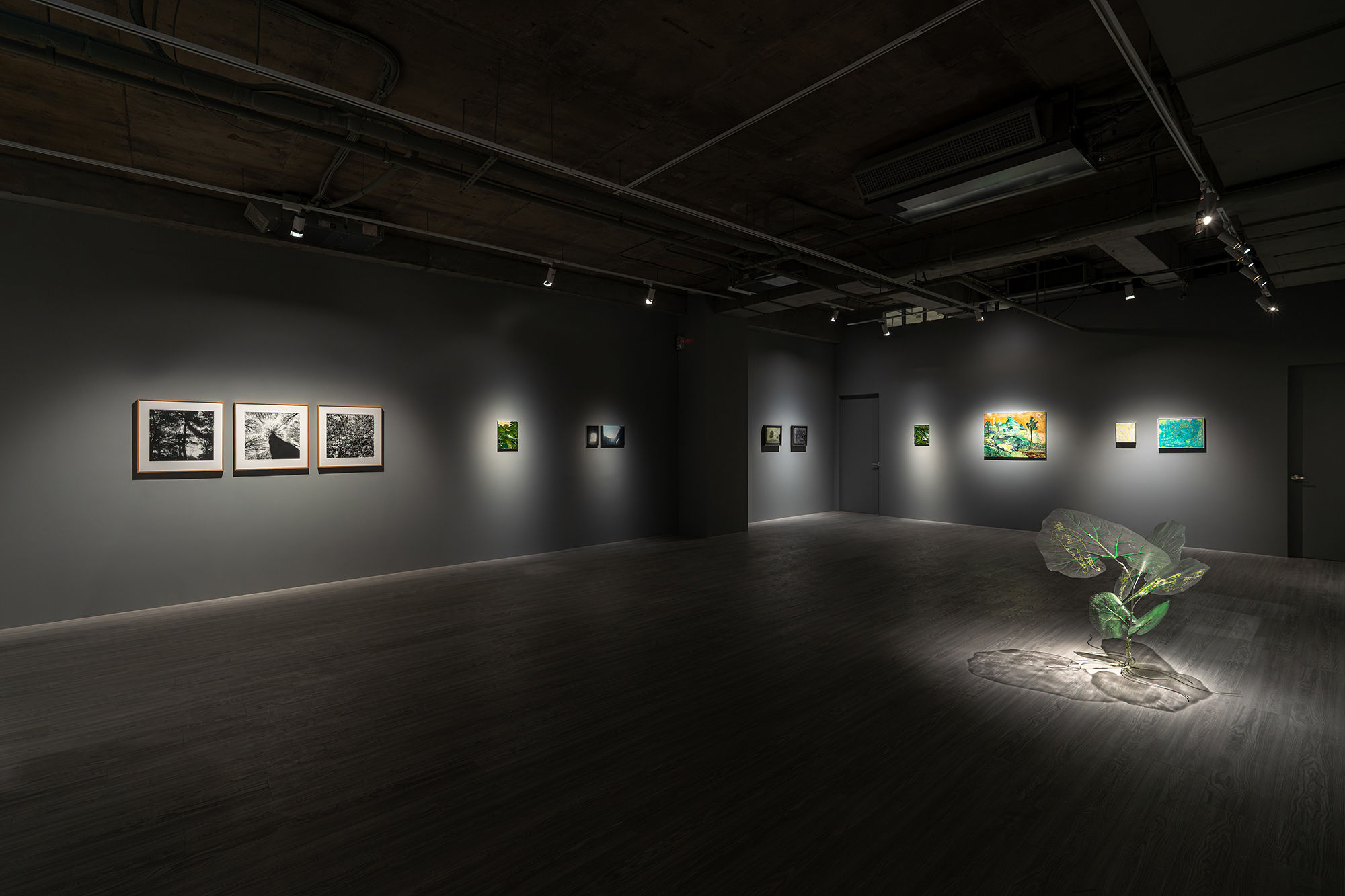 「驚蟄」安卓藝術喬遷暖身展