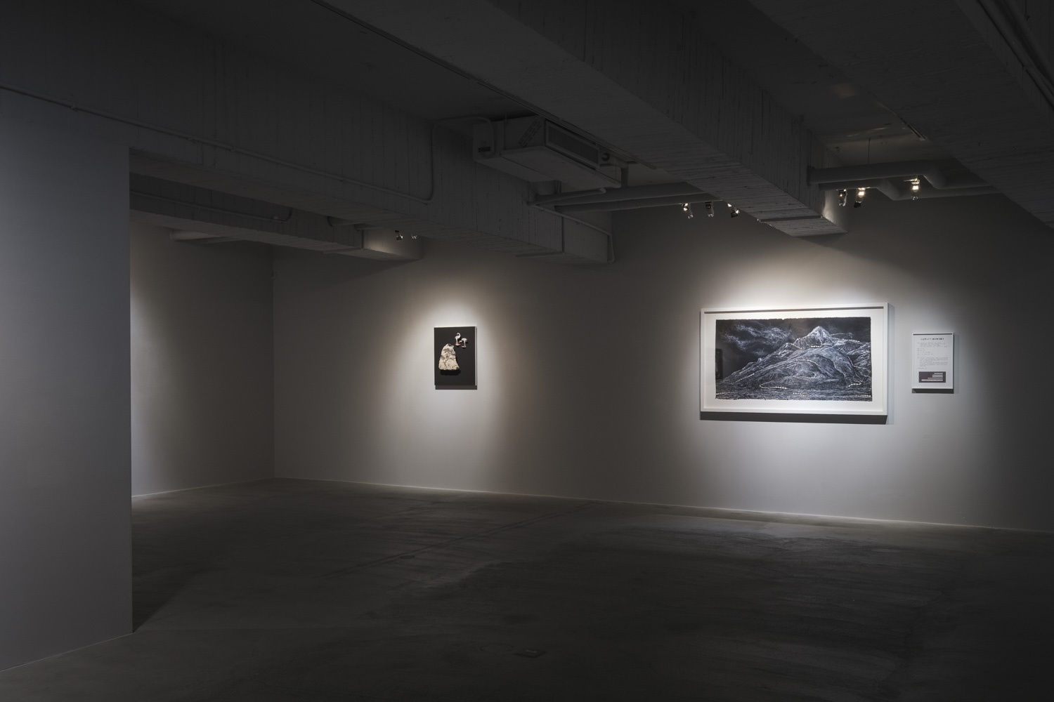 ｢雅努斯｣ 香港巴塞爾項目展