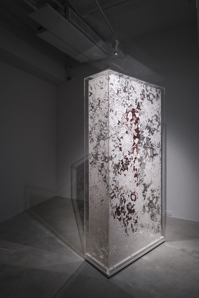 ｢雅努斯｣ 香港巴塞爾項目展