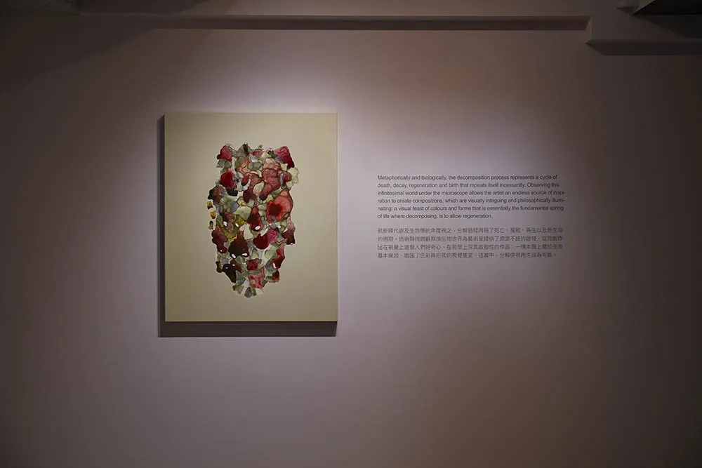 ∞ 無窮—薩伊夫．加里波第