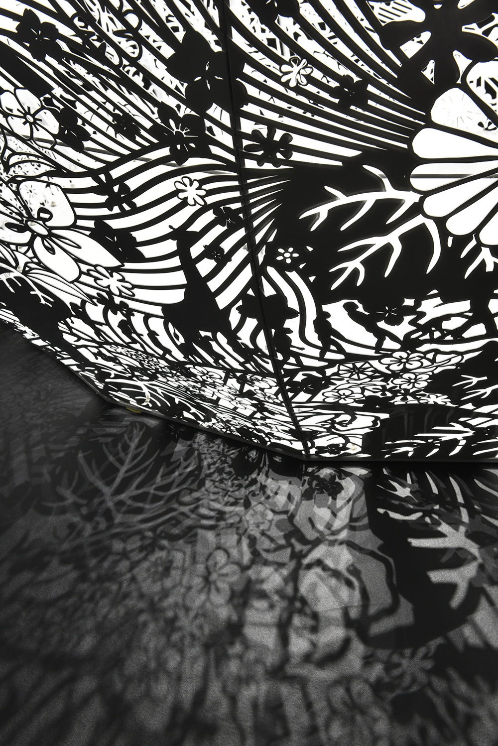 重力與恩寵—大卷伸嗣