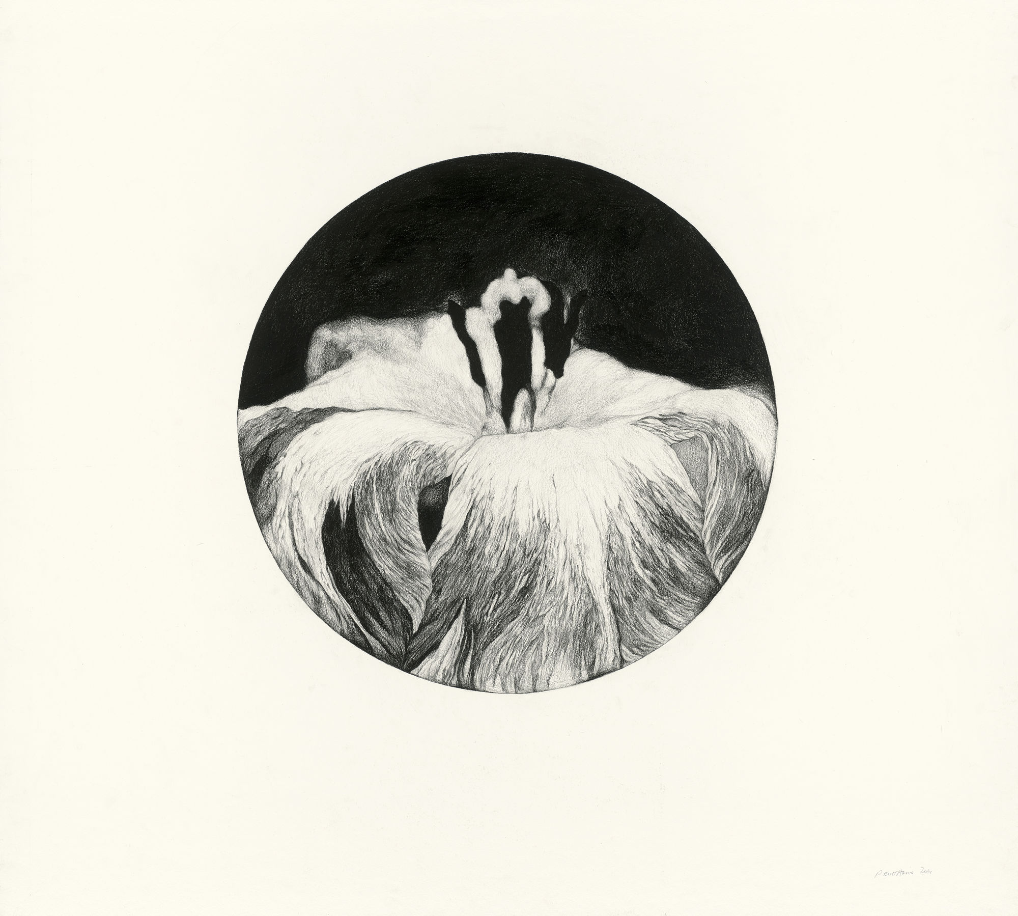 派翠西亞．伊斯塔柯,《巴別輪廓 輪廓1 研究2》Figure babel, Fig. I / Study 2,2014