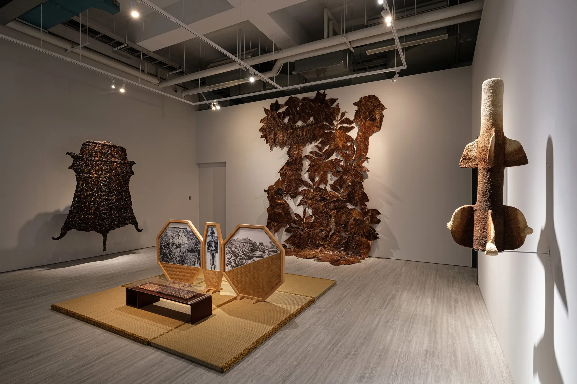 「⿊ · ⾦ · ⽩ 」羅懿君個展