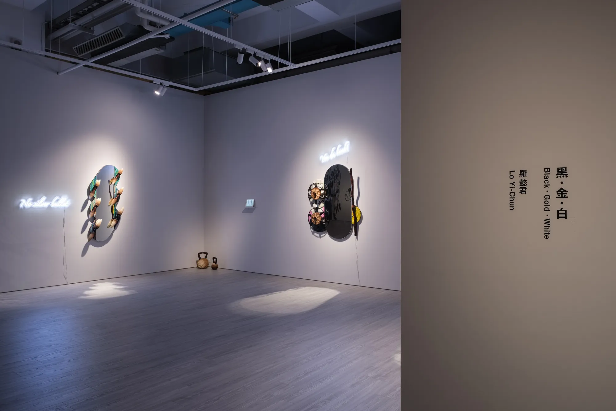 「⿊ · ⾦ · ⽩ 」羅懿君個展