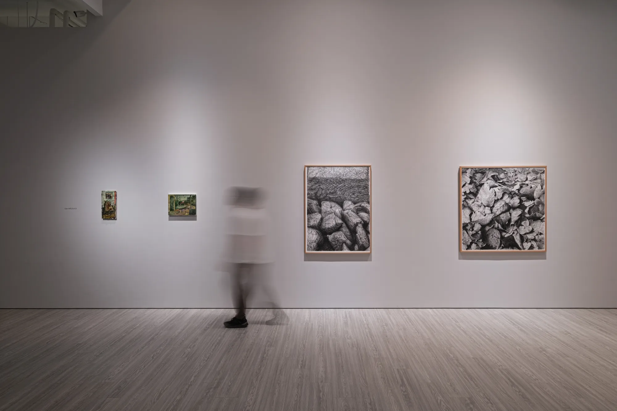 「藏匿在灰鏡下的真實斑點」丹．馬諸卡