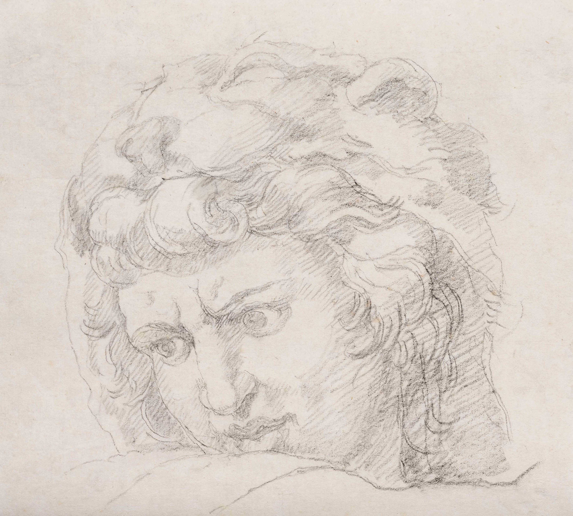 VINCENZO CAMUCCINI Testa di Signifero