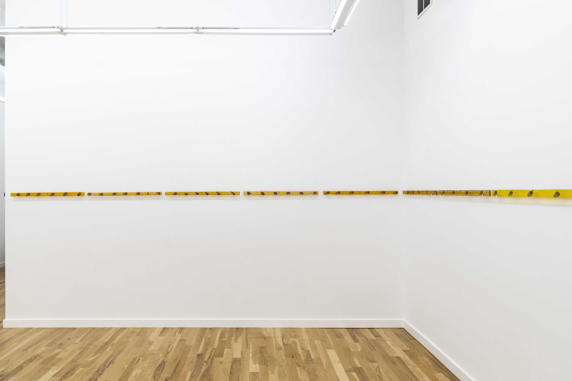 Views from Somewhere