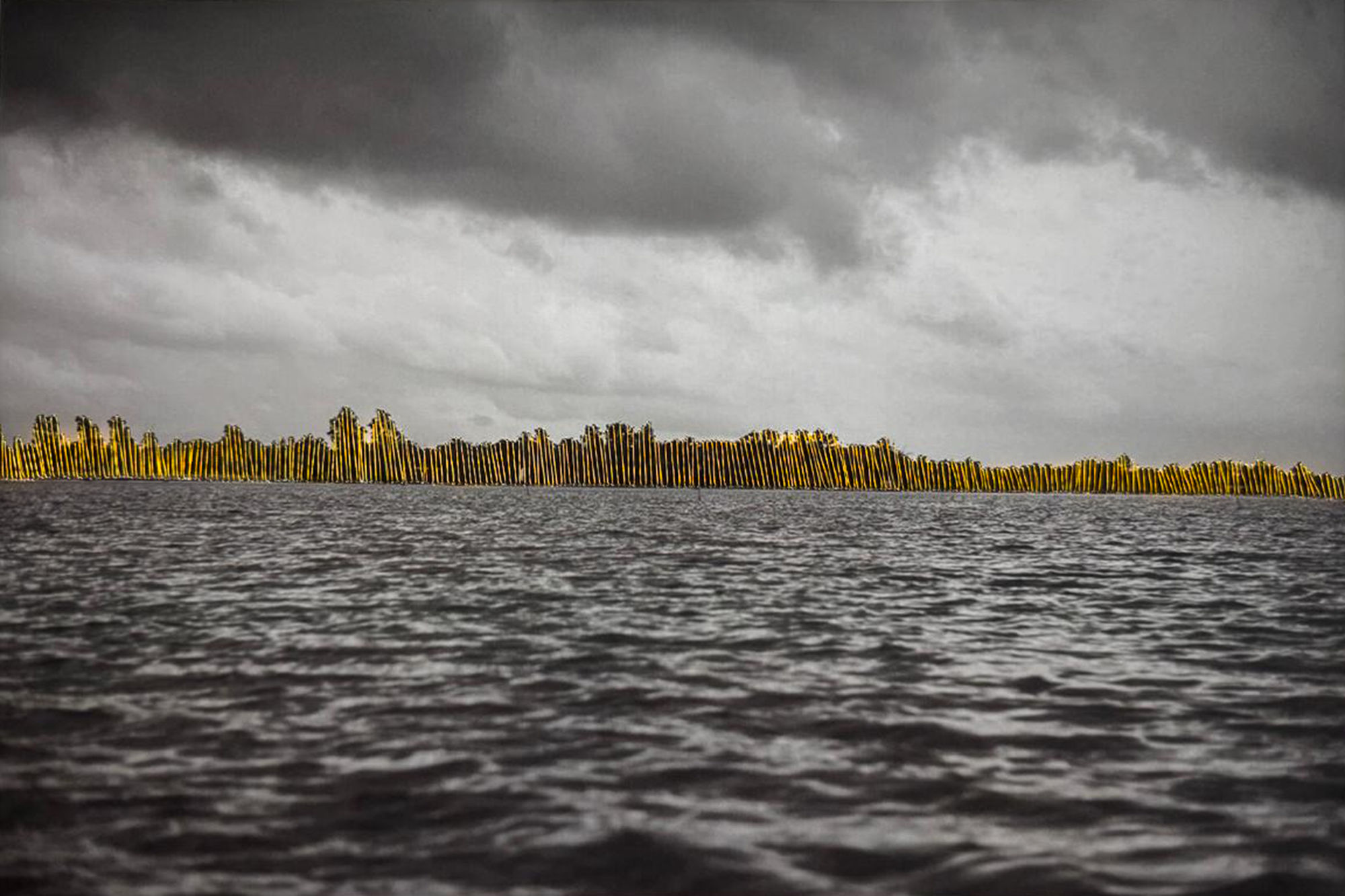 Ashfika Rahman Bon Bibi and Hundred Saga, Path-8 C-type print on archival paper and golden silk thread