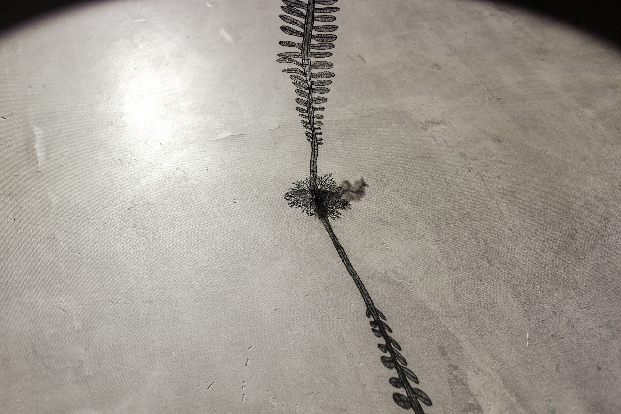 The Coincidence of Time and Being: Ranbir Kaleka and Sumakshi Singh curated by Priya Pall