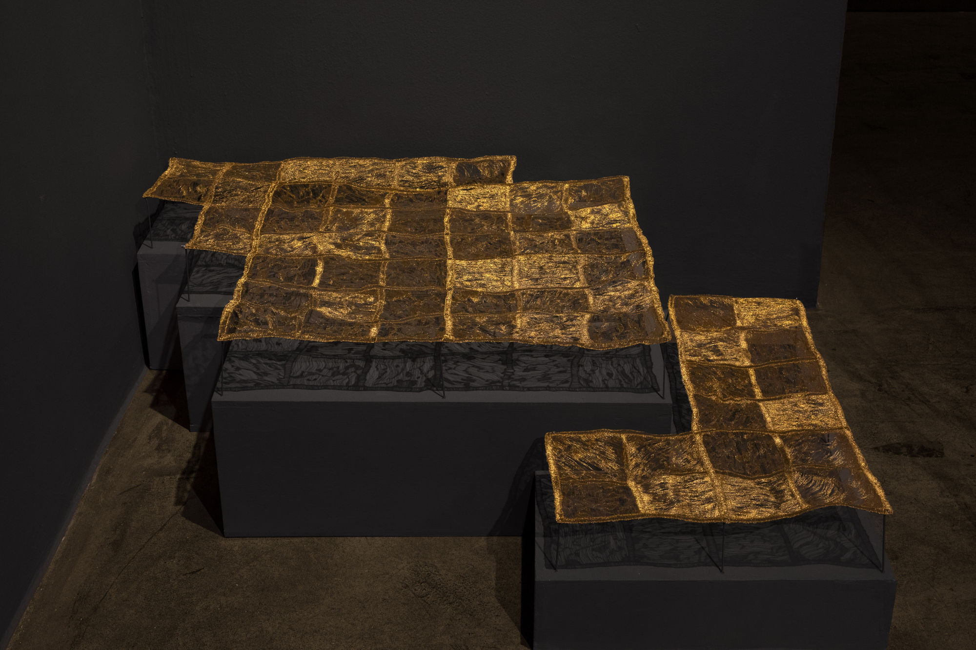 The Coincidence of Time and Being: Ranbir Kaleka and Sumakshi Singh curated by Priya Pall