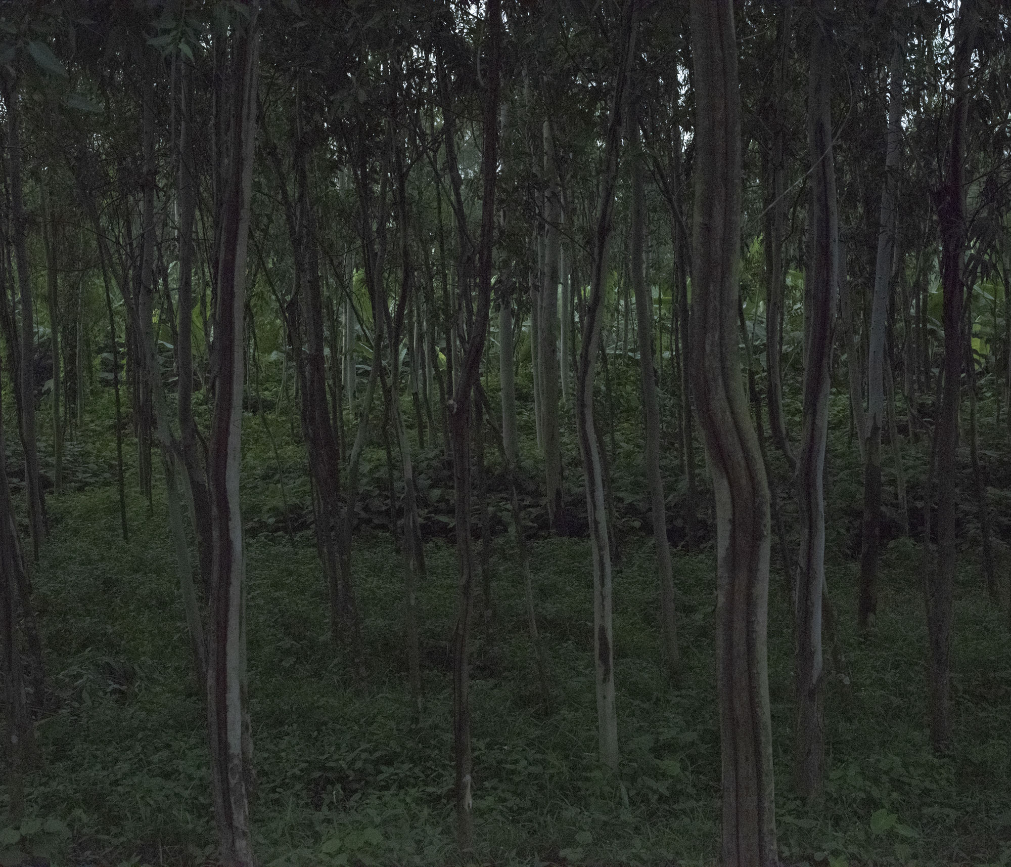 Files of the disappeared Digital print on fine art pearl paper 2022