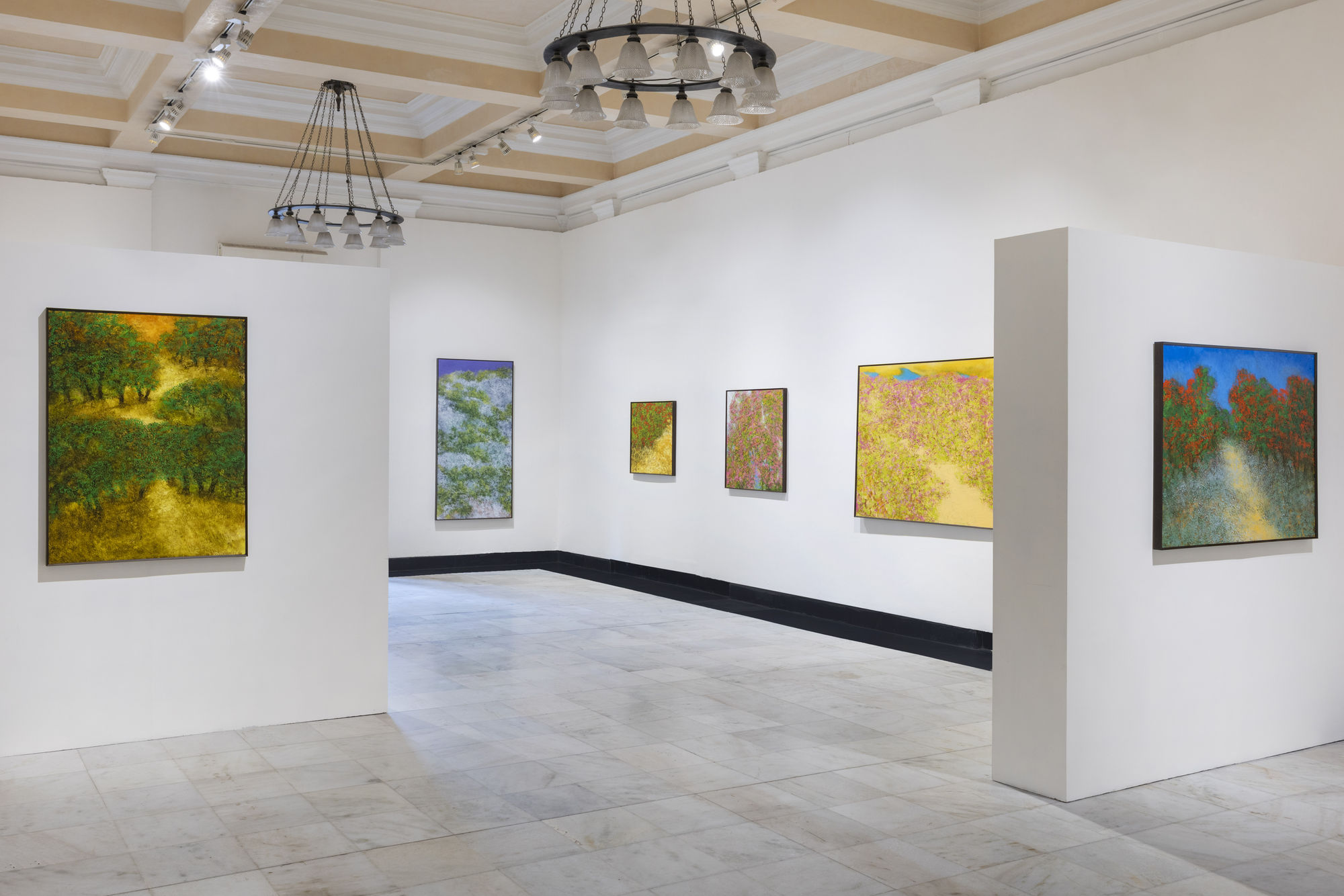 Paramjit Singh: Liminal Geographies