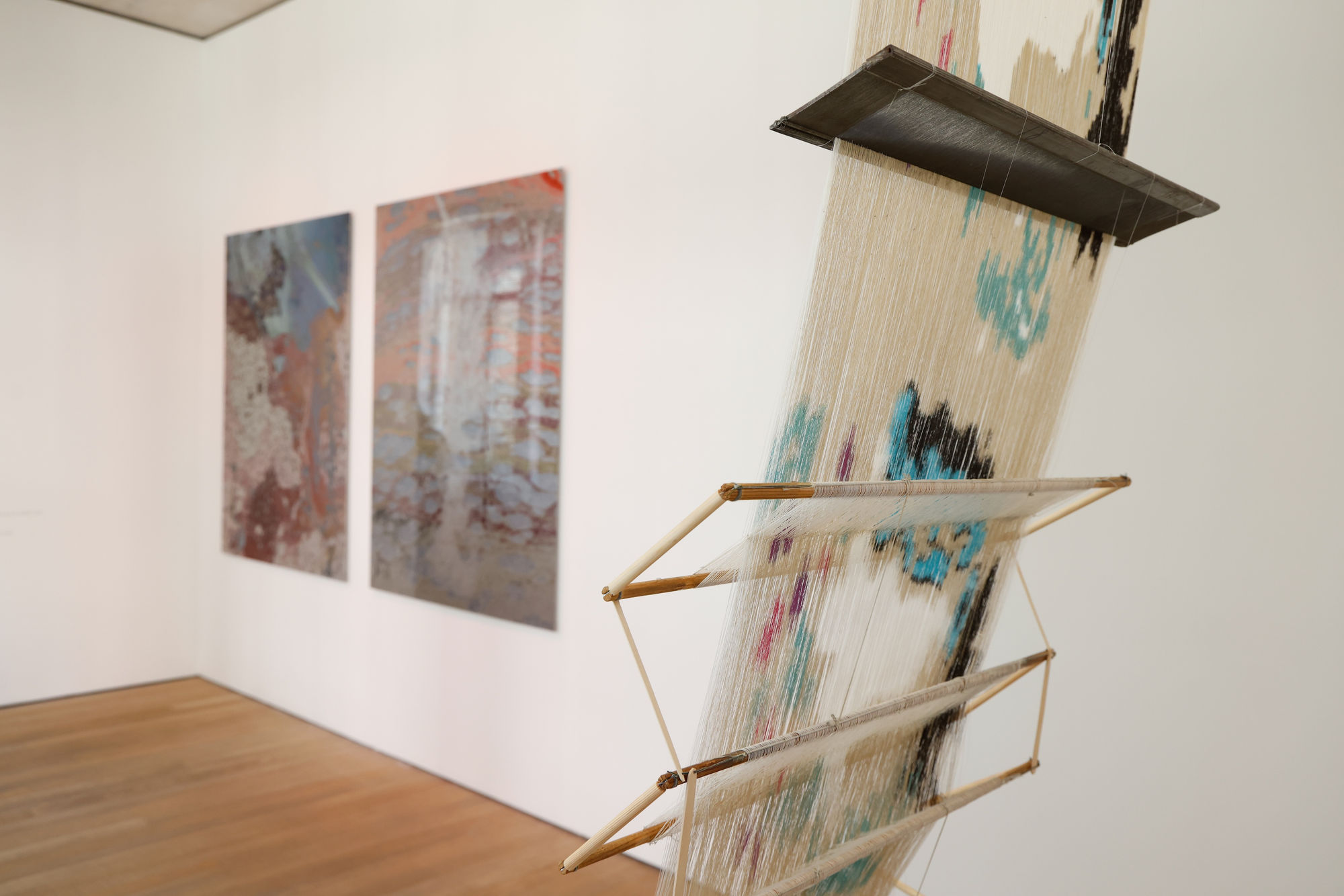 Hylozoic/Desires (Himali Singh Soin & David Soin Tappeser): Soap of the Sages, Sun of the Sea