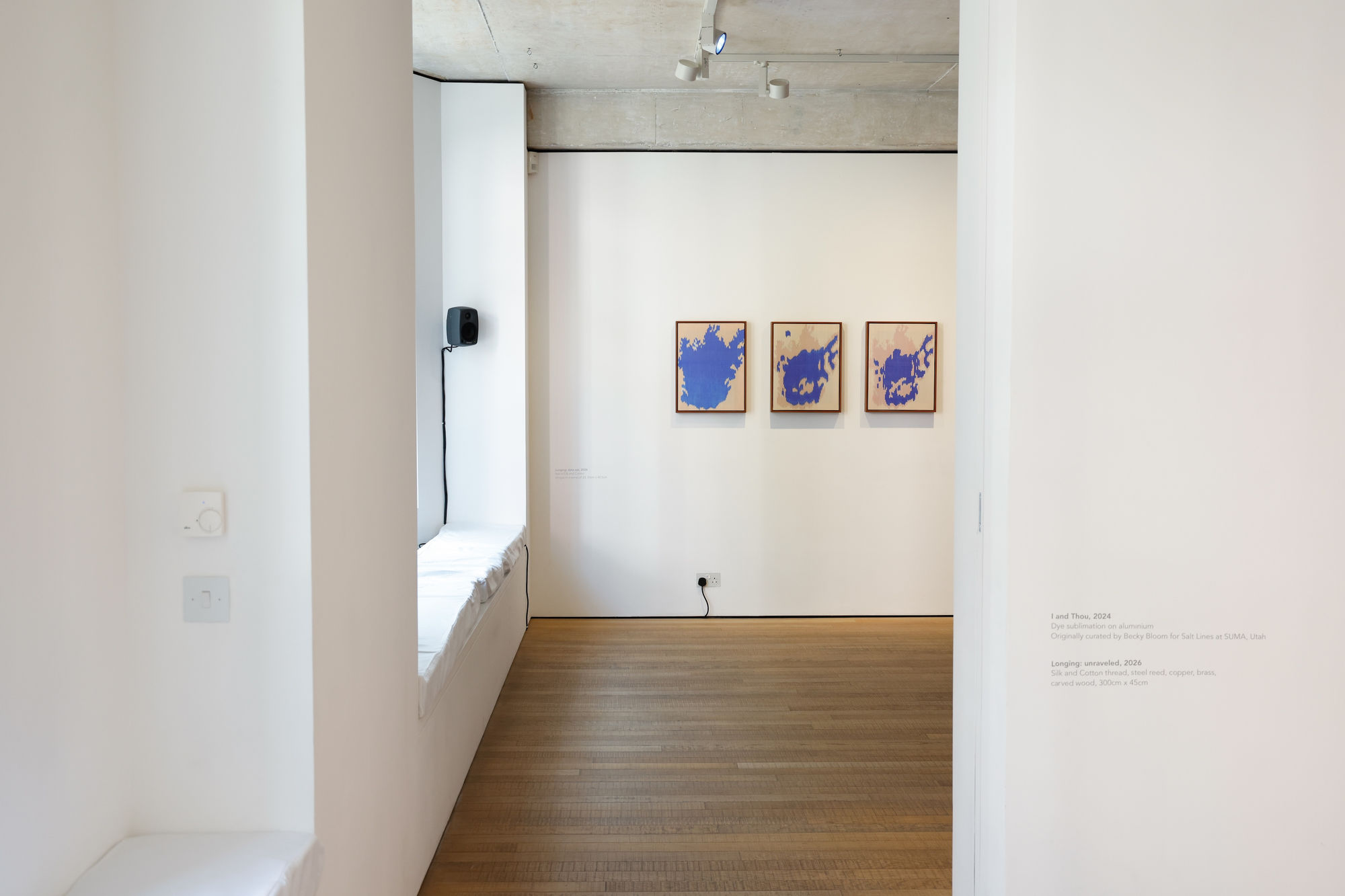 Hylozoic/Desires (Himali Singh Soin & David Soin Tappeser): Soap of the Sages, Sun of the Sea