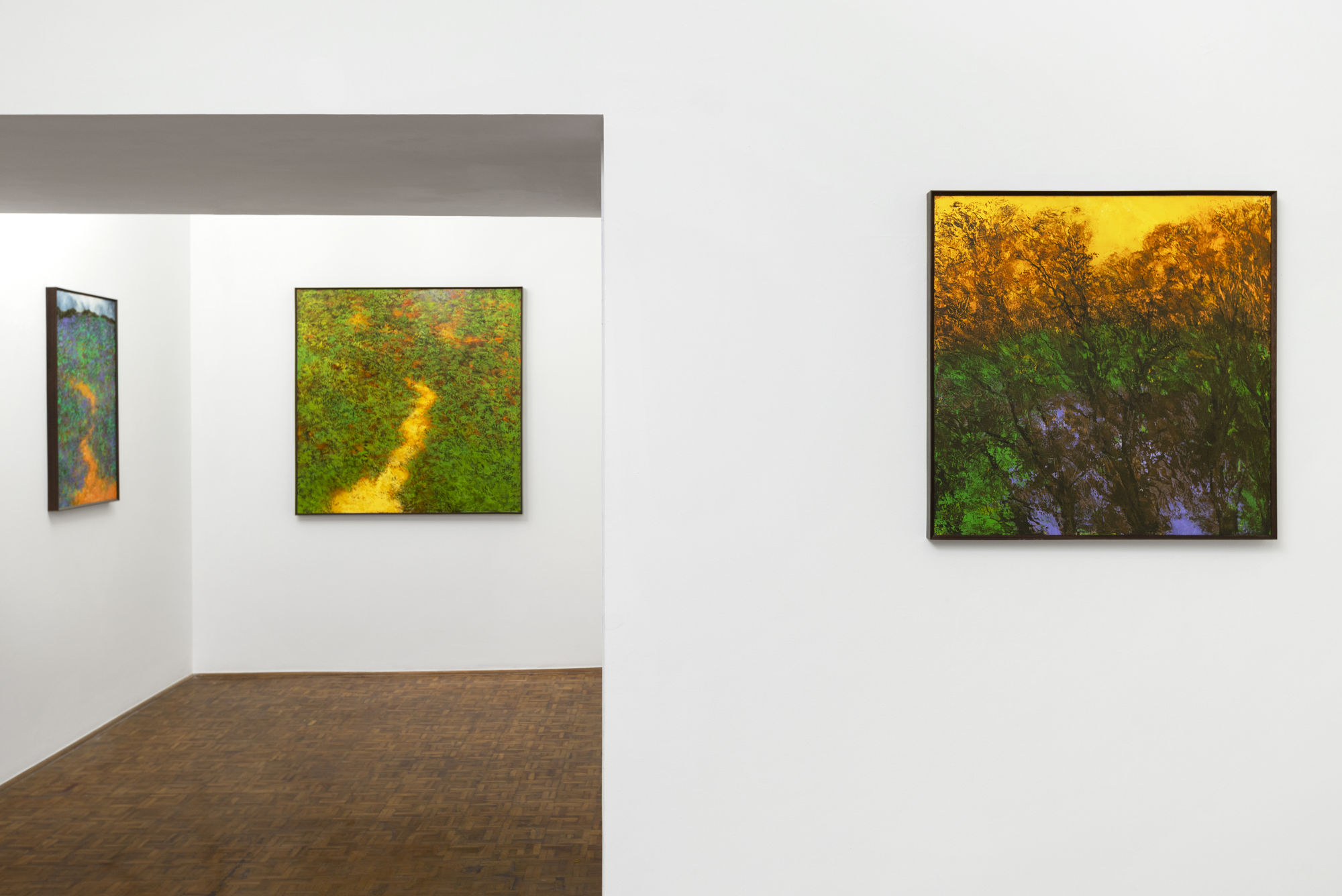 Paramjit Singh: Liminal Geographies