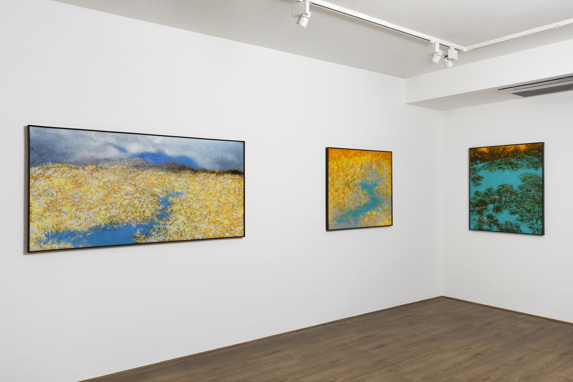 Paramjit Singh: Liminal Geographies