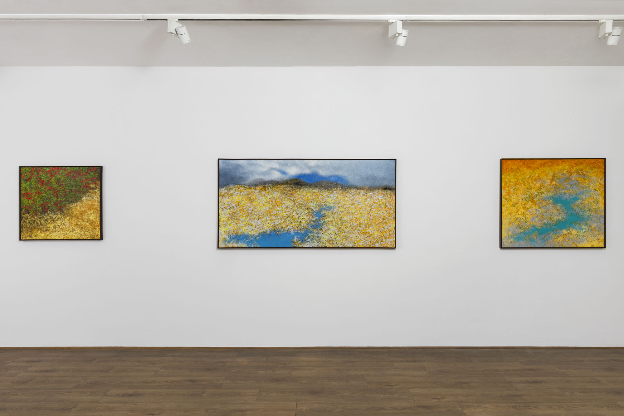 Paramjit Singh: Liminal Geographies