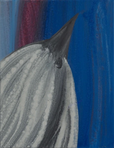 The Symphony of Birds