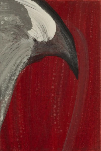 The Symphony of Birds