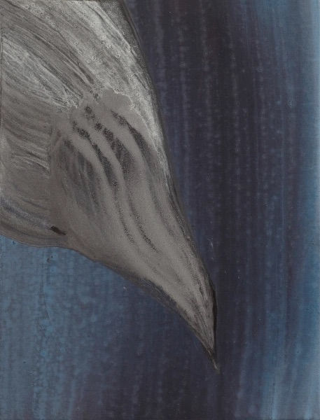 The Symphony of Birds