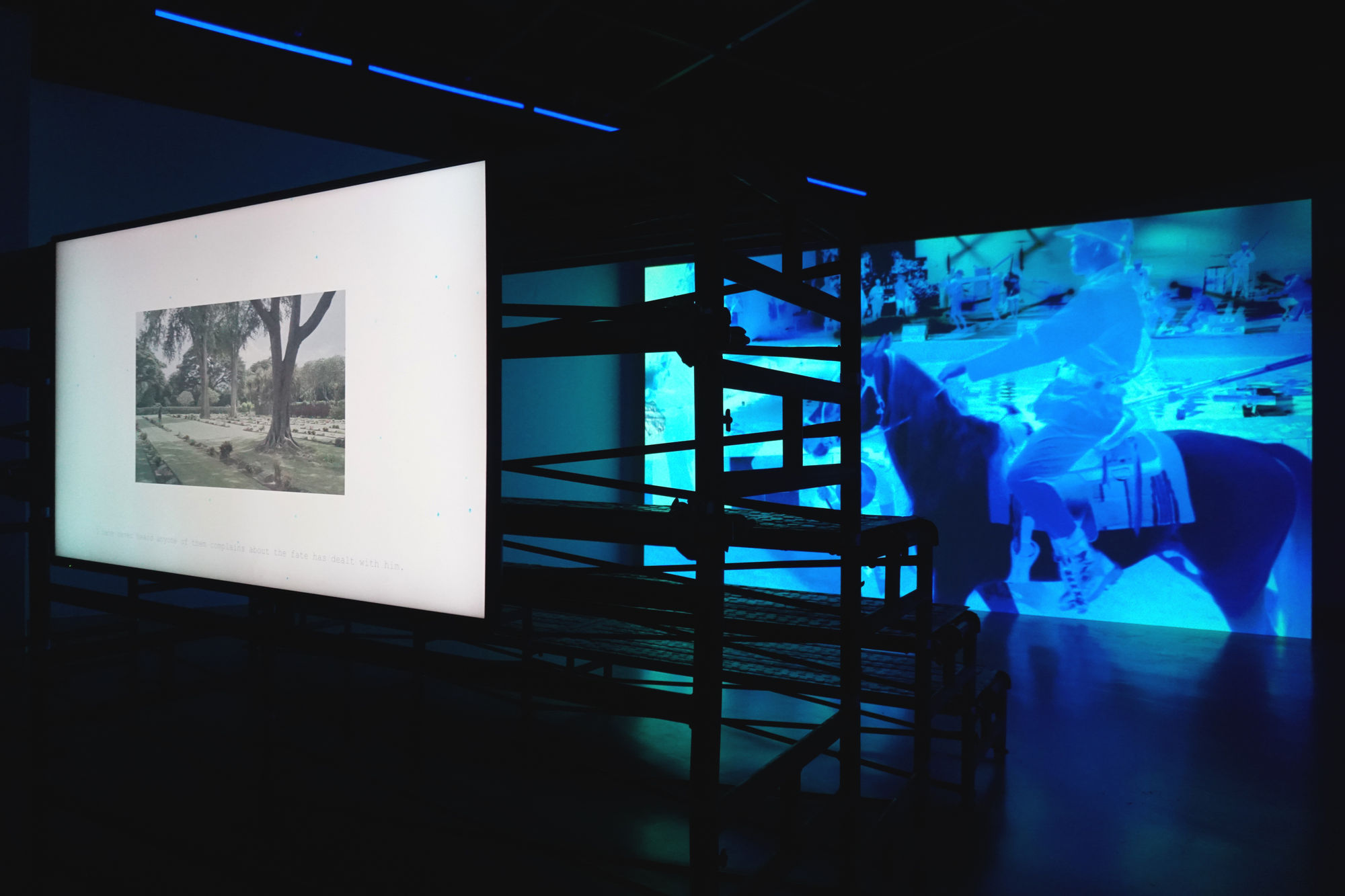 If I can make one wish...