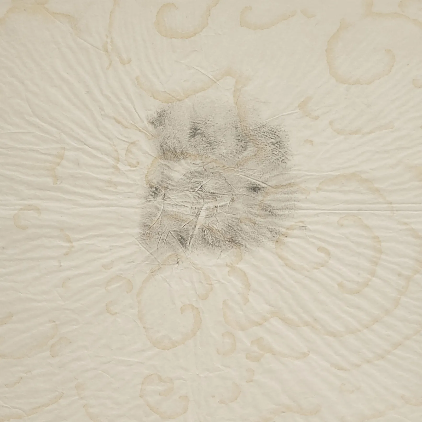 On the Workings of the Mind