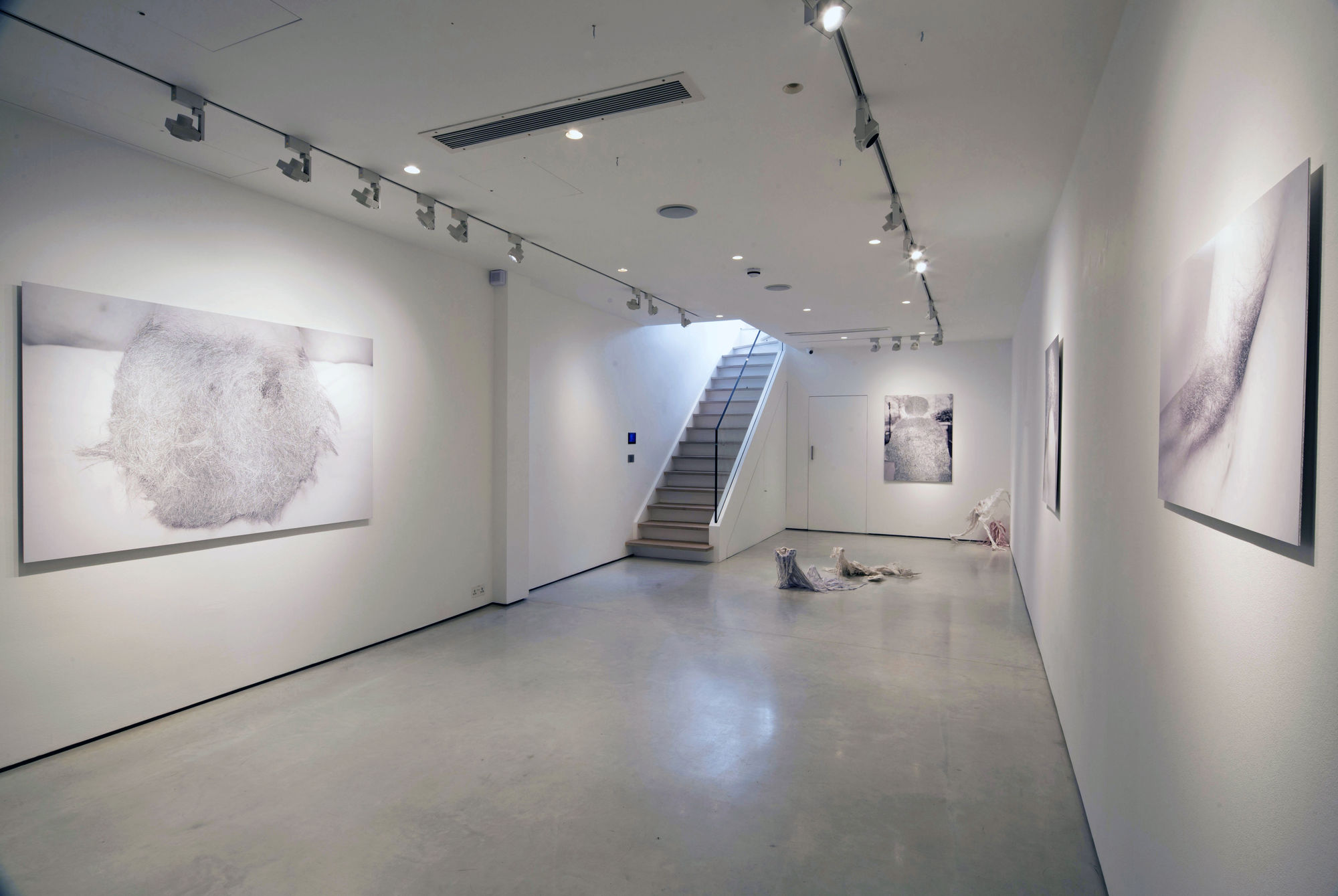 William Mackrell | Swarm