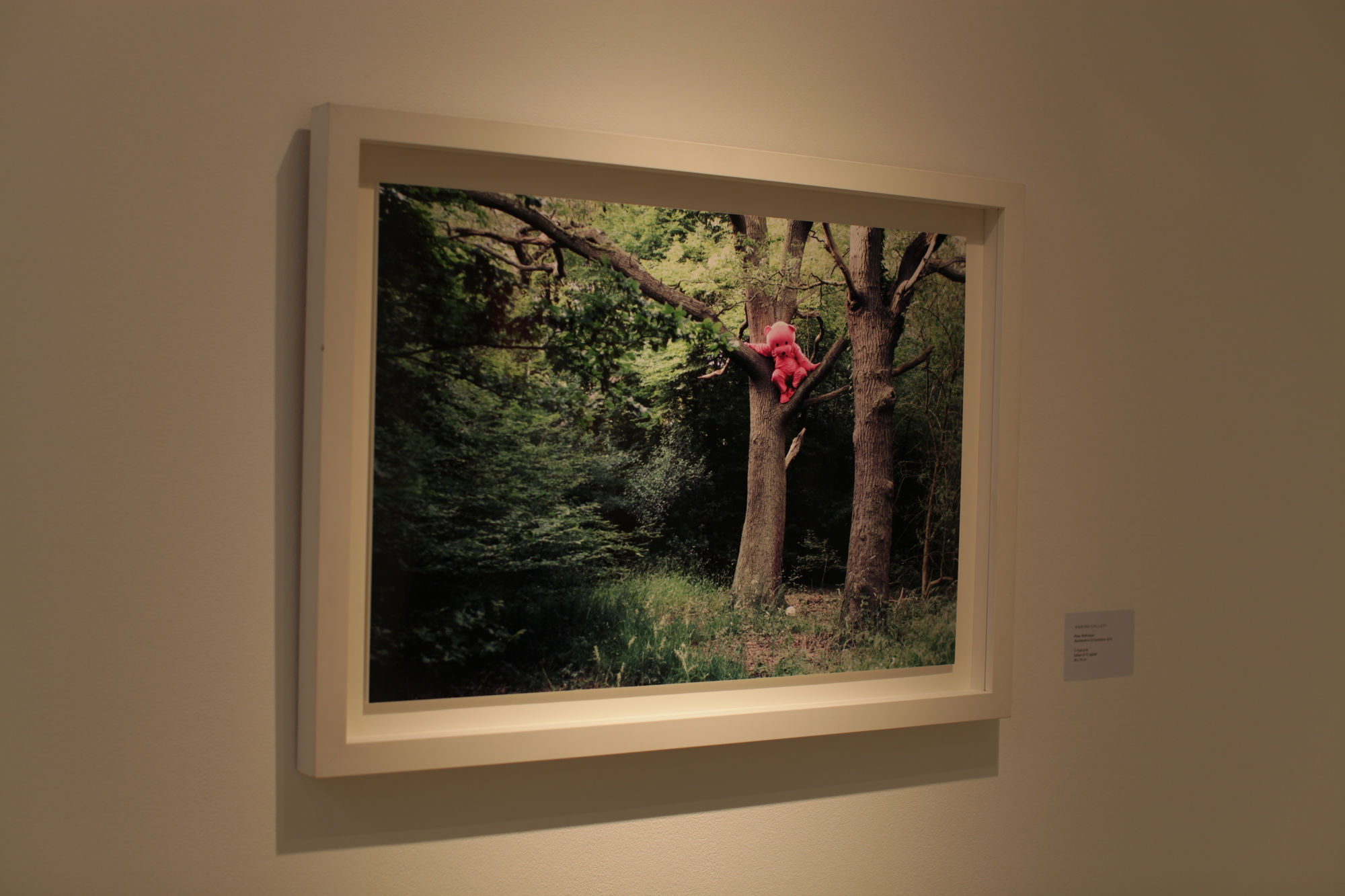 Paul Robinson artwork hanging on the wall