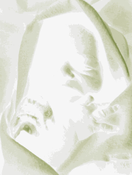 Alexander de Cadenet | Retrospective Book Launch x King Richard III Skull Portrait