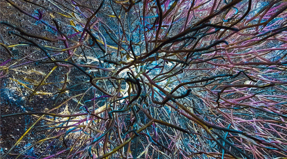 Alexander de Cadenet | Retrospective Book Launch x King Richard III Skull Portrait