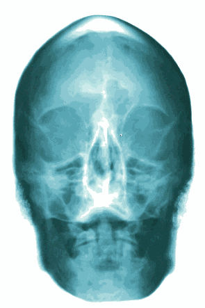 Alexander de Cadenet | Retrospective Book Launch x King Richard III Skull Portrait