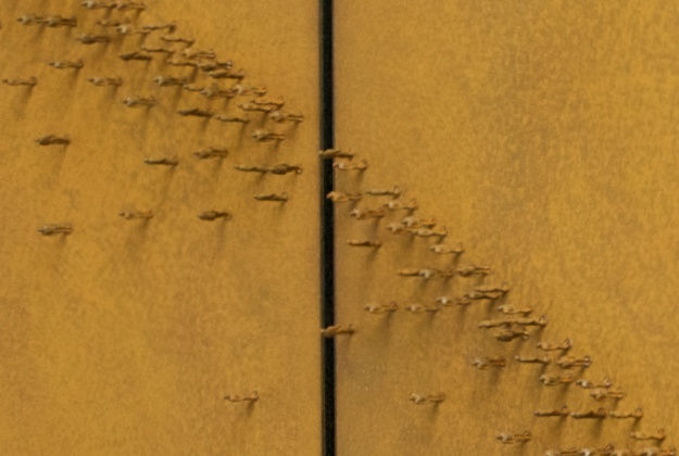 Burke Second front Detail