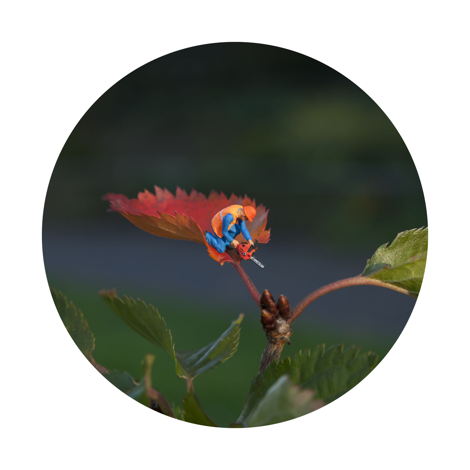 Slinkachu Turning Of The Seasons print