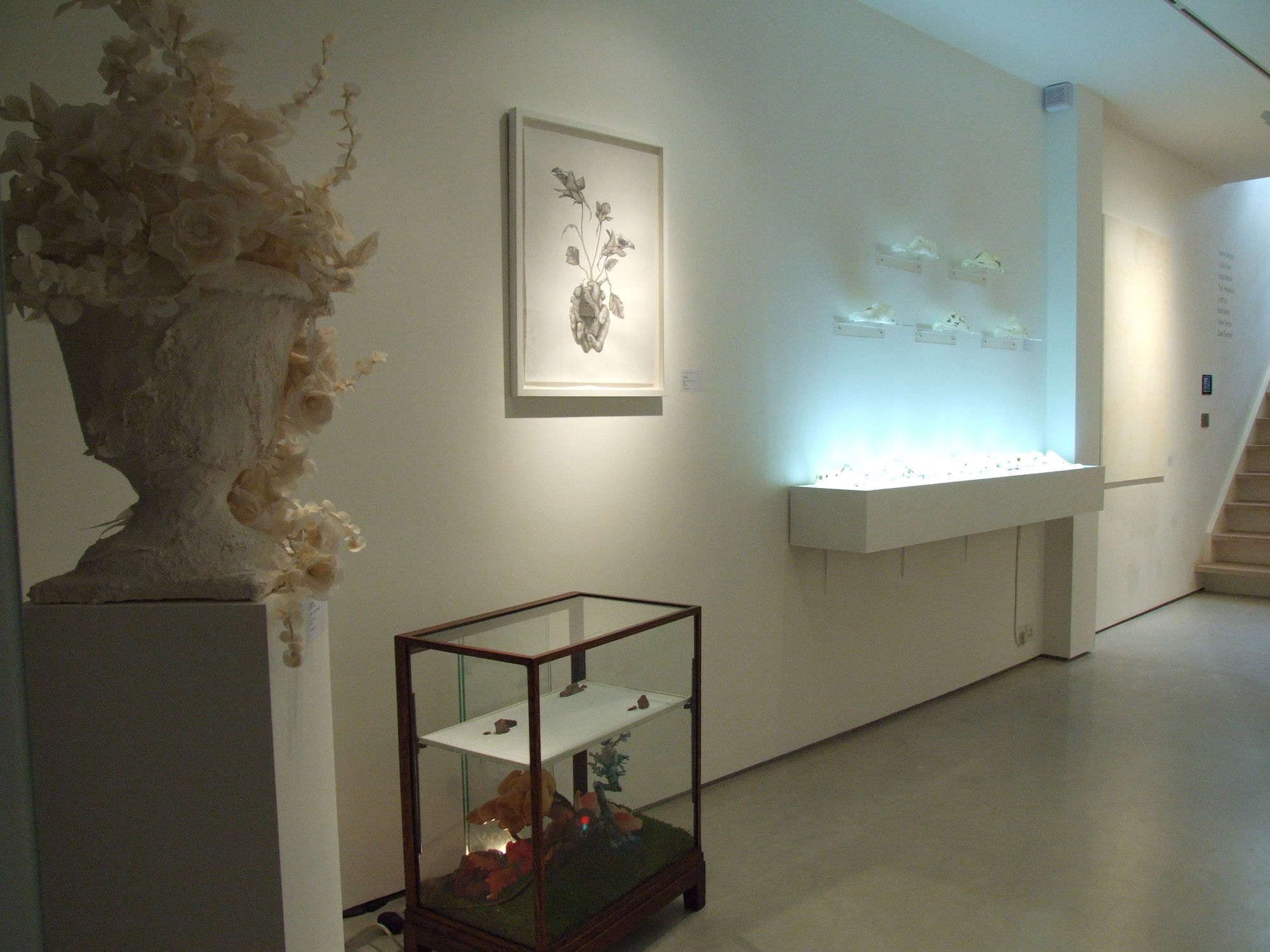 The Secret Language of Flowers