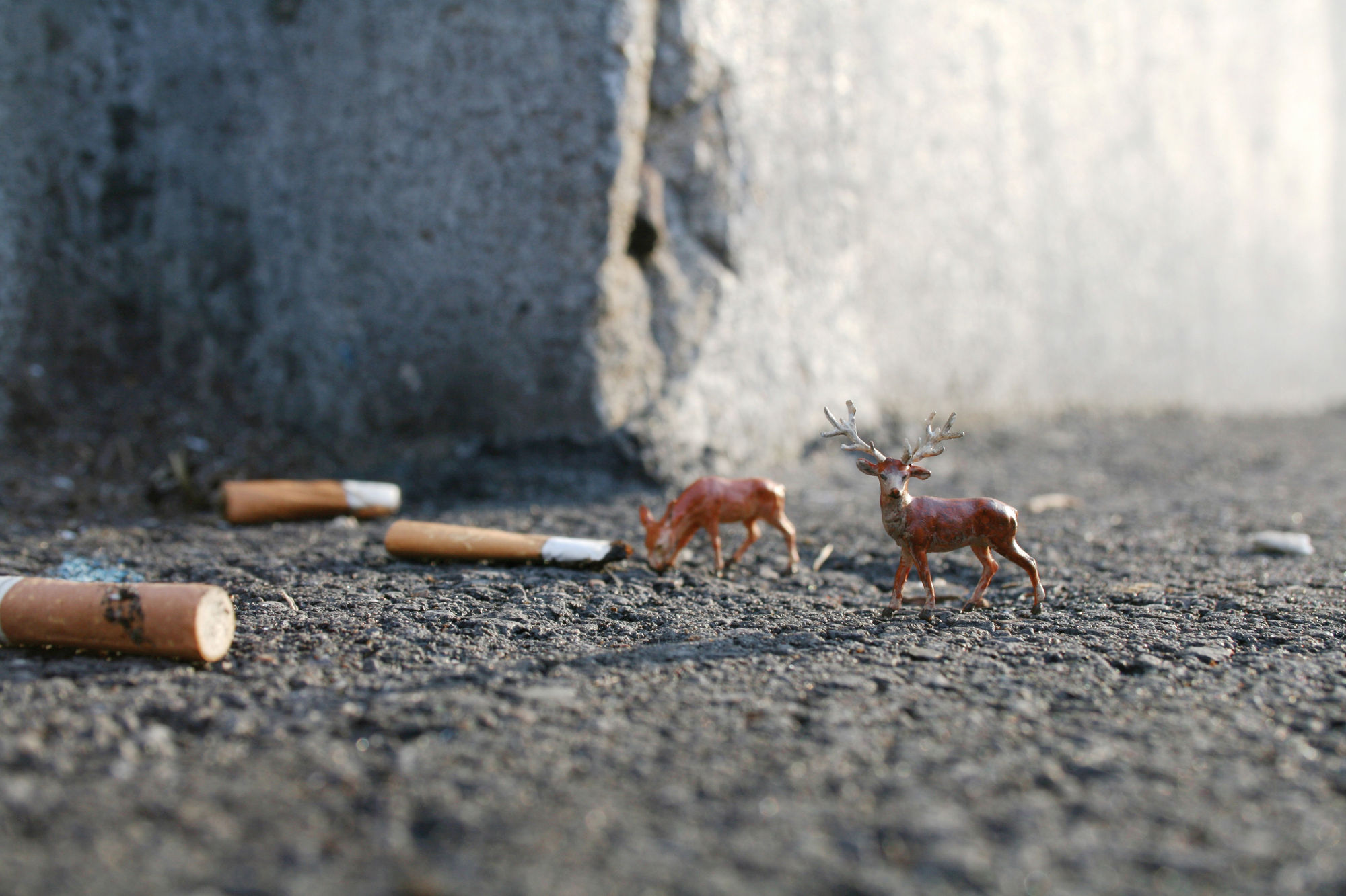 Slinkachu Majestic print