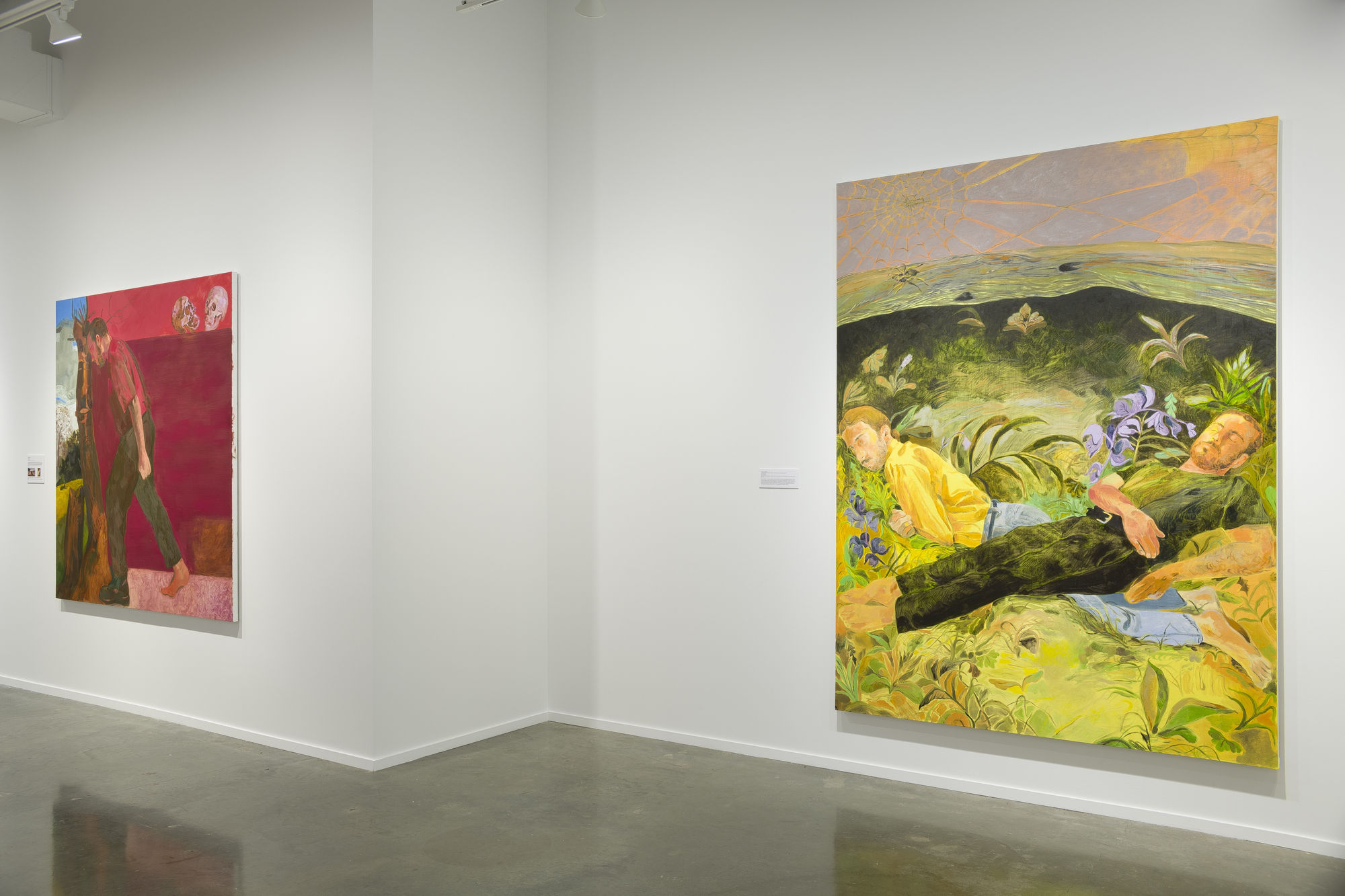 Installation view, Anthony Cudahy: Spinneret, 2024. Photo: Evan Sheldon.